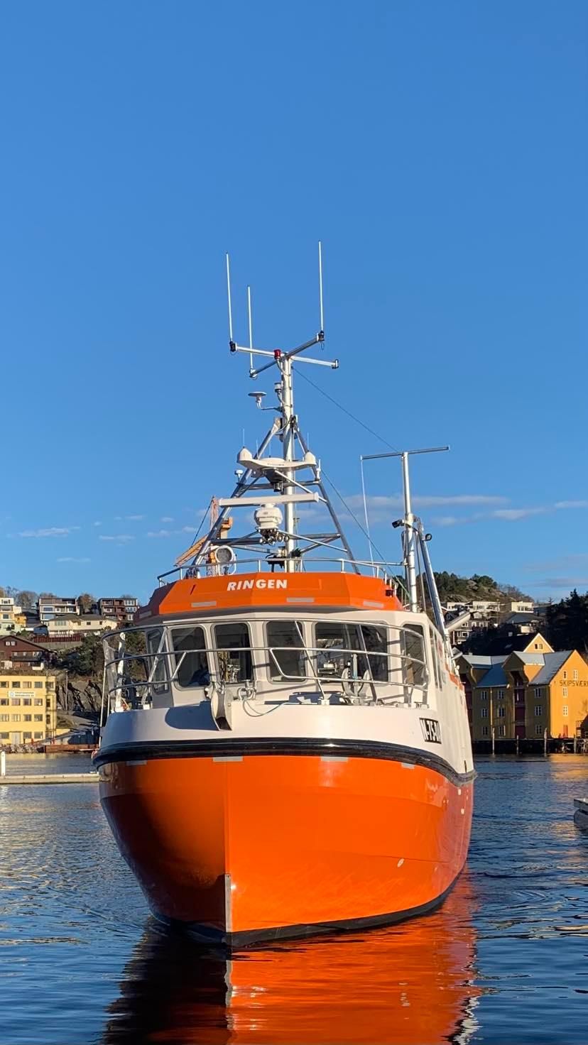 35ft MALO SJARK