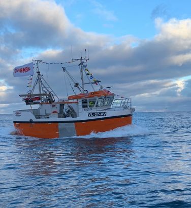 MALO Sjark 36ft