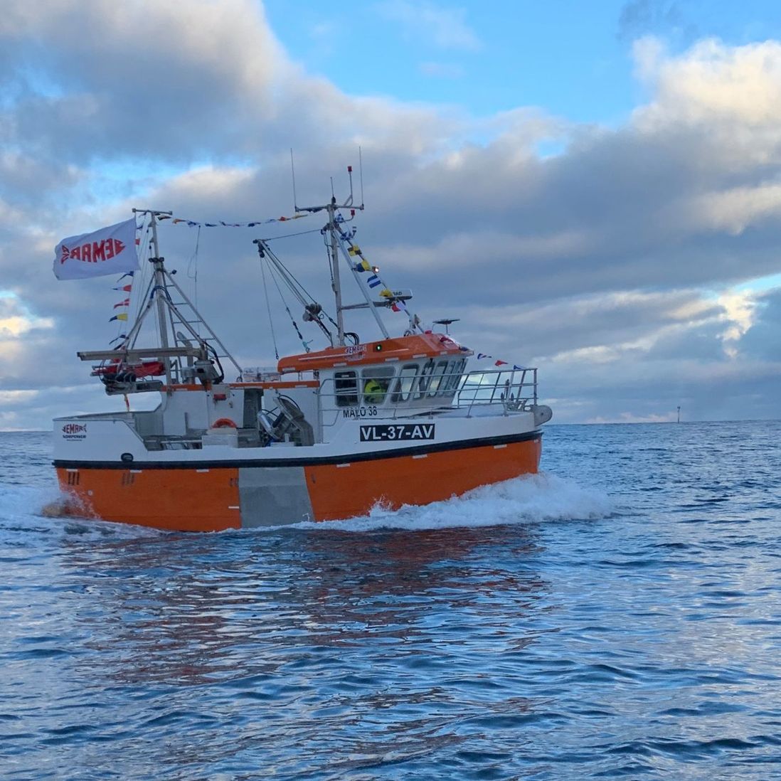 MALO Sjark 36ft